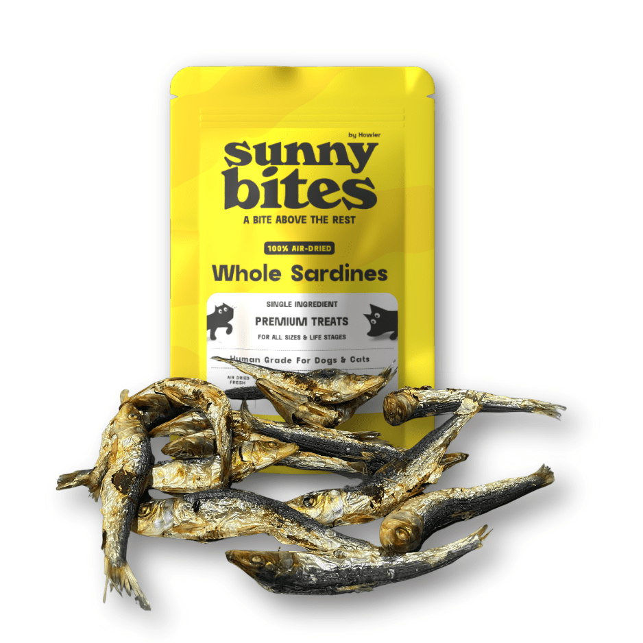 Whole Sardines - SunnyBites
