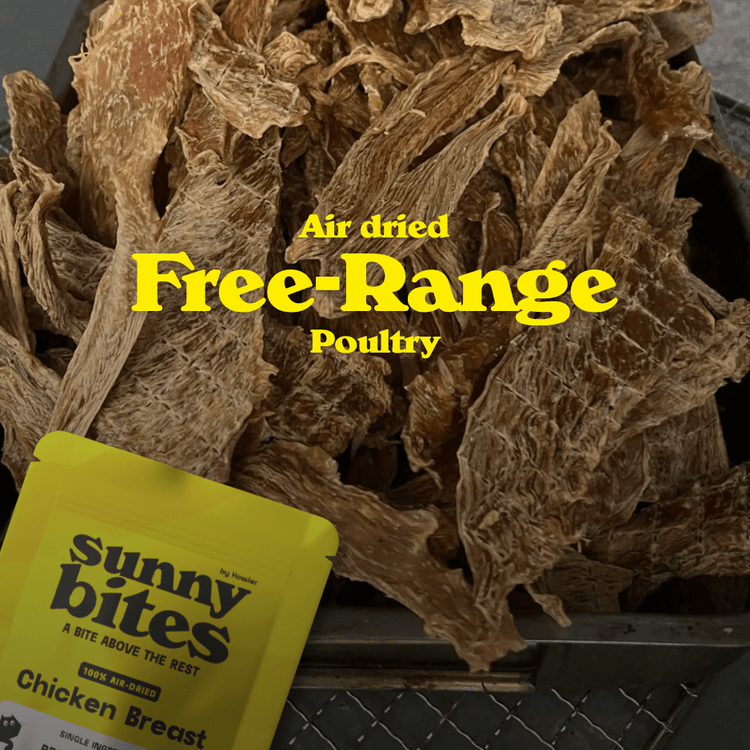 Bird Lover's Bites - SunnyBites