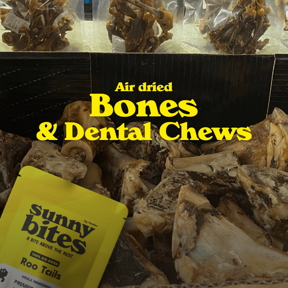 Bones & Dental Chews - SunnyBites