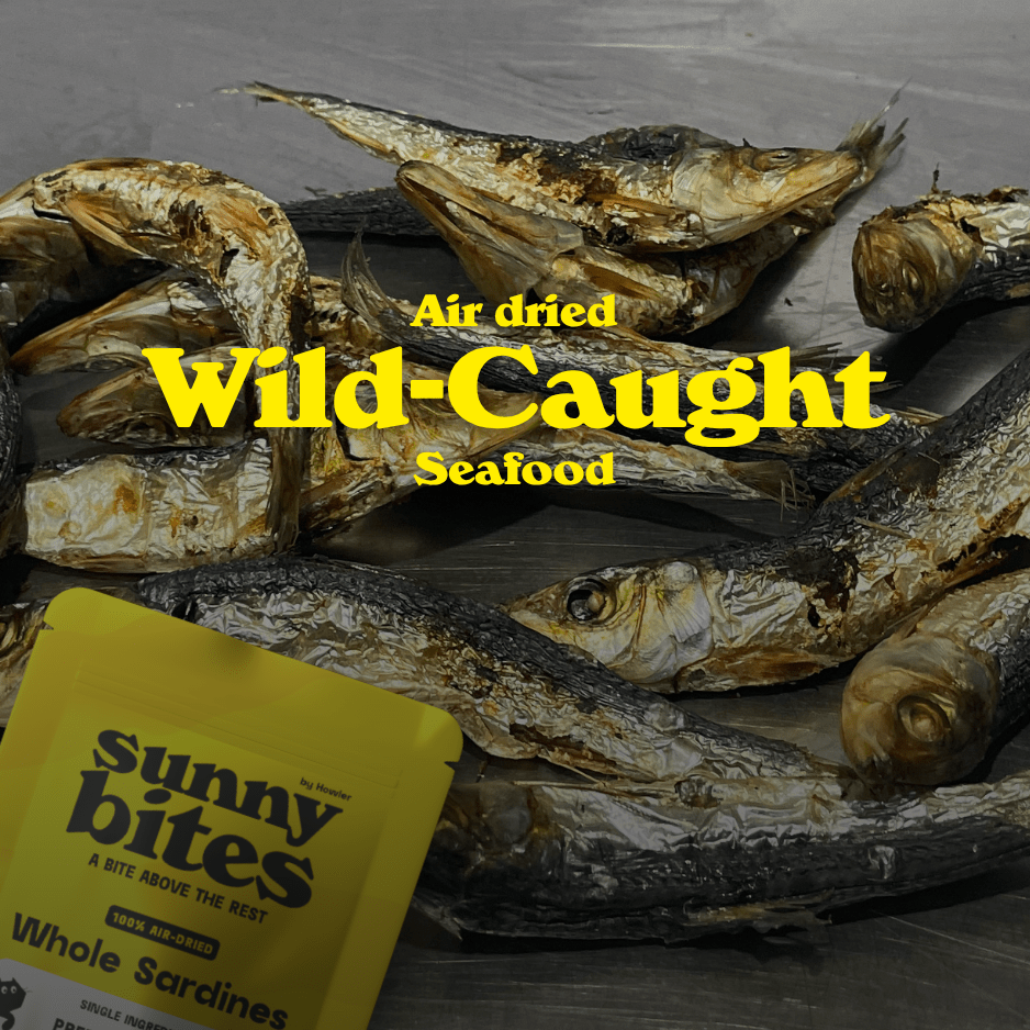 Salt & Sea Bites - SunnyBites