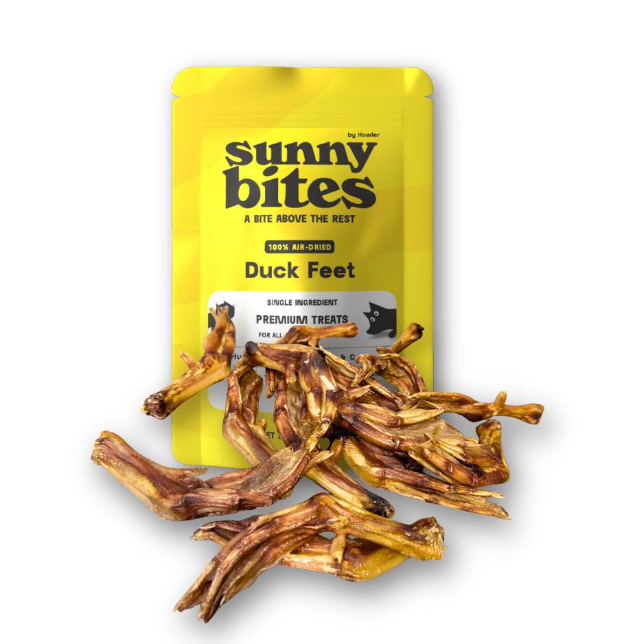 Duck Feet - SunnyBites