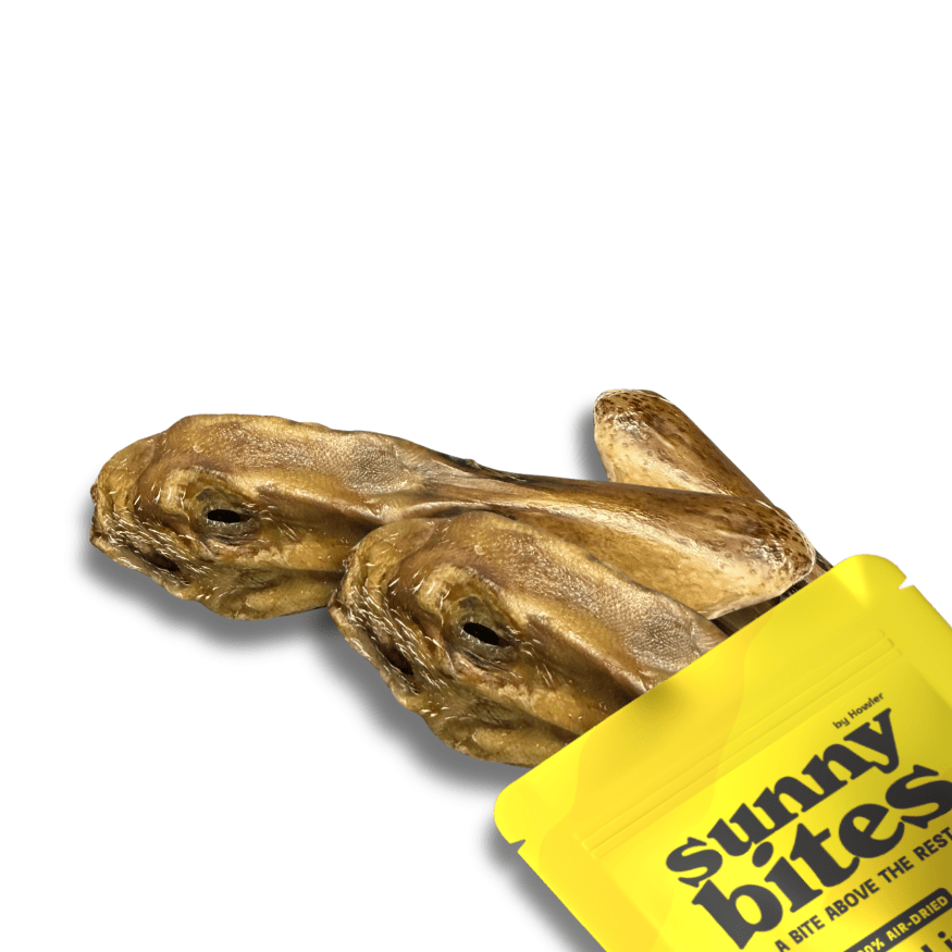 Duck Heads - SunnyBites