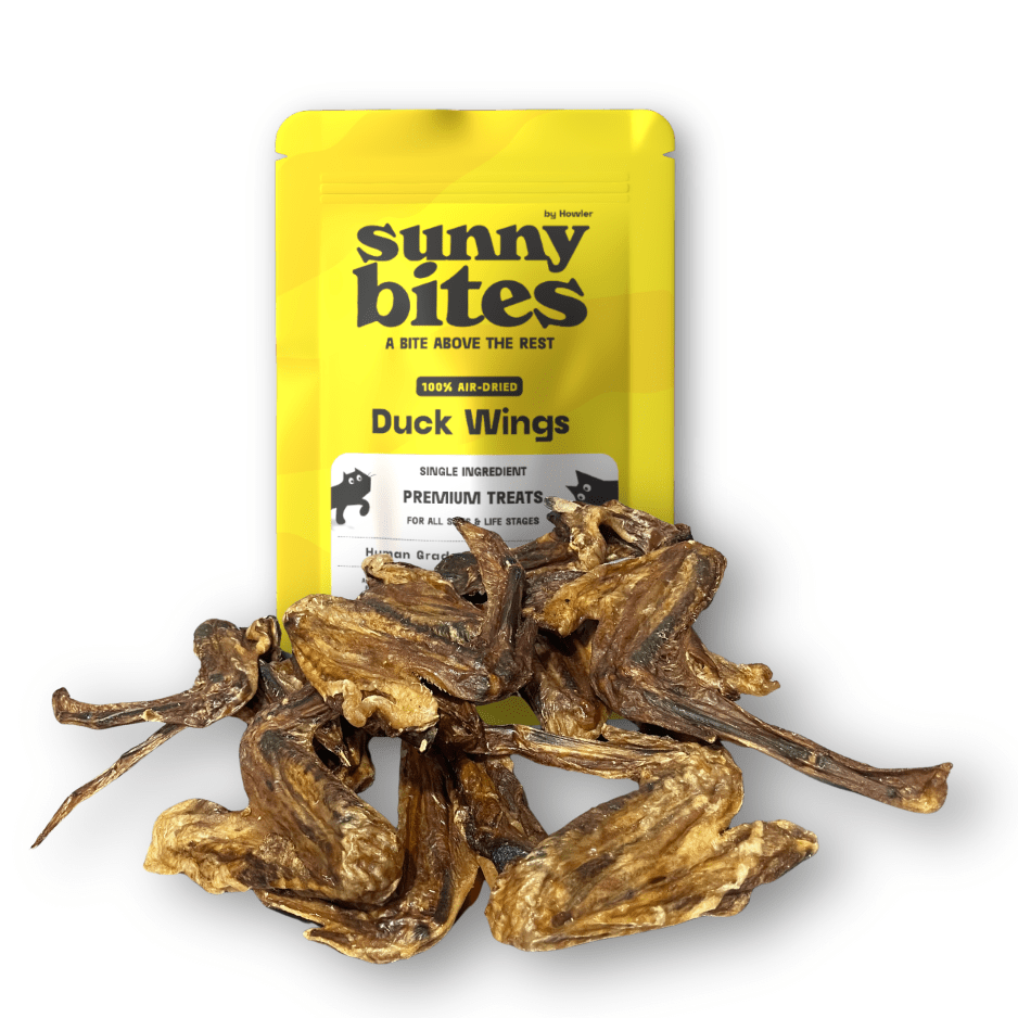 Duck Wings - SunnyBites