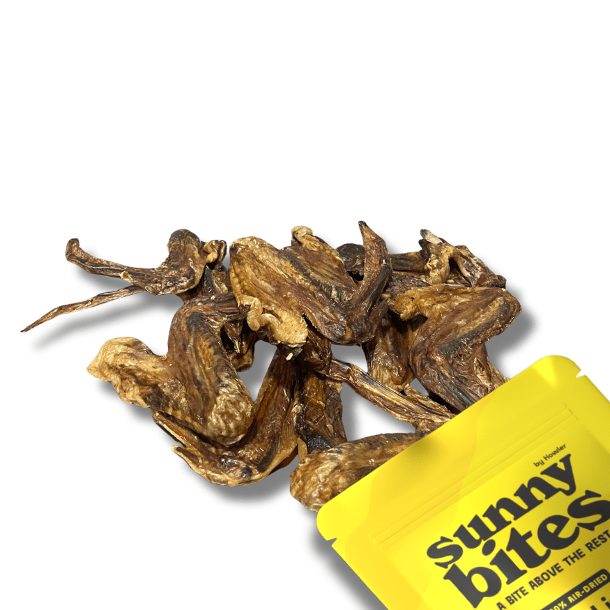 Duck Wings - SunnyBites