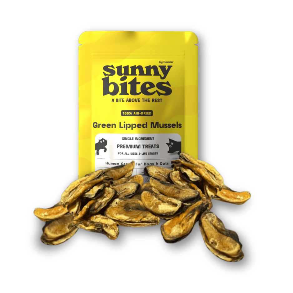 Green Lipped Mussels - SunnyBites