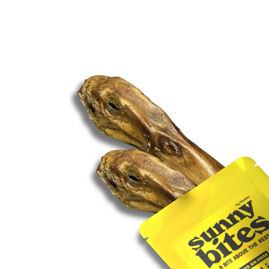 Duck Heads