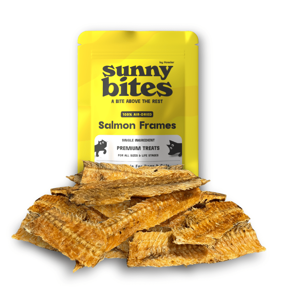 Salmon Frames - SunnyBites