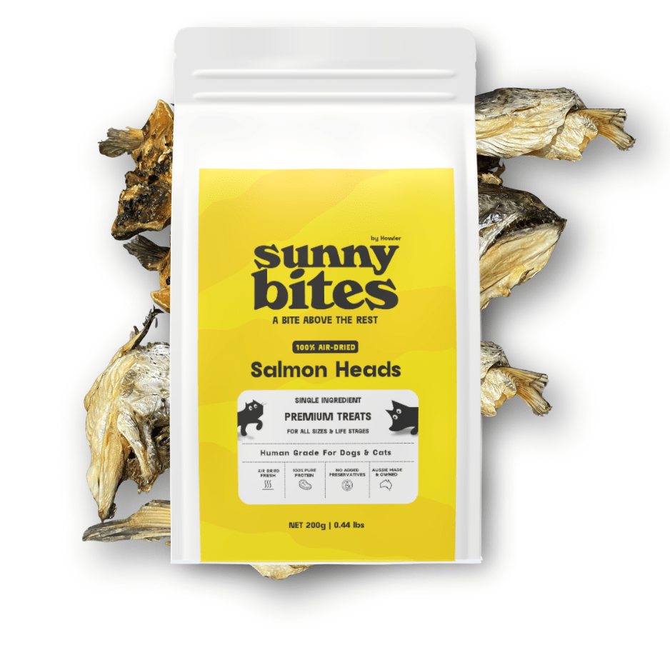 Salmon Heads - SunnyBites