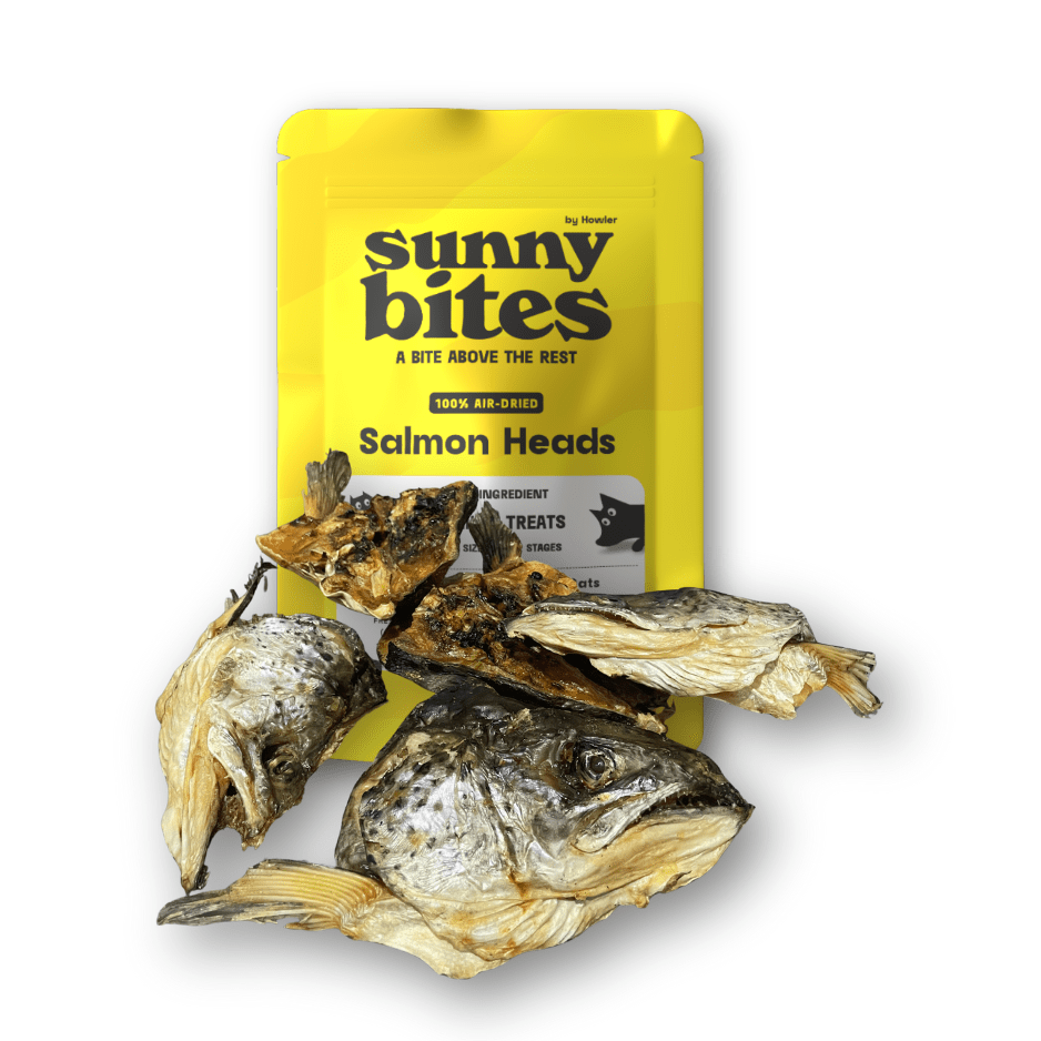 Salmon Heads - SunnyBites