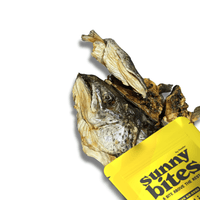 Salmon Heads - SunnyBites