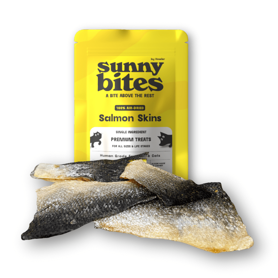 Salmon Skins - SunnyBites