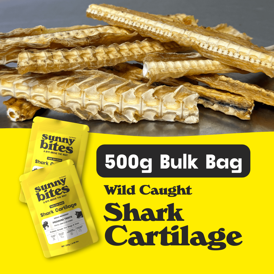 Shark Cartilage 500g - SPECIAL OFFER - SunnyBites