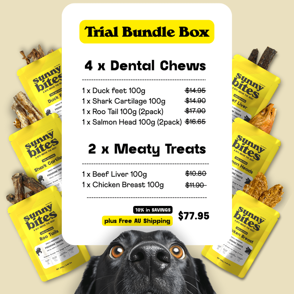 Trial Treat Box 600g - SunnyBites